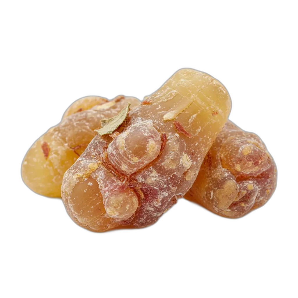 Boswellia serrata — pomocny w zachowaniu odporności organizmu.